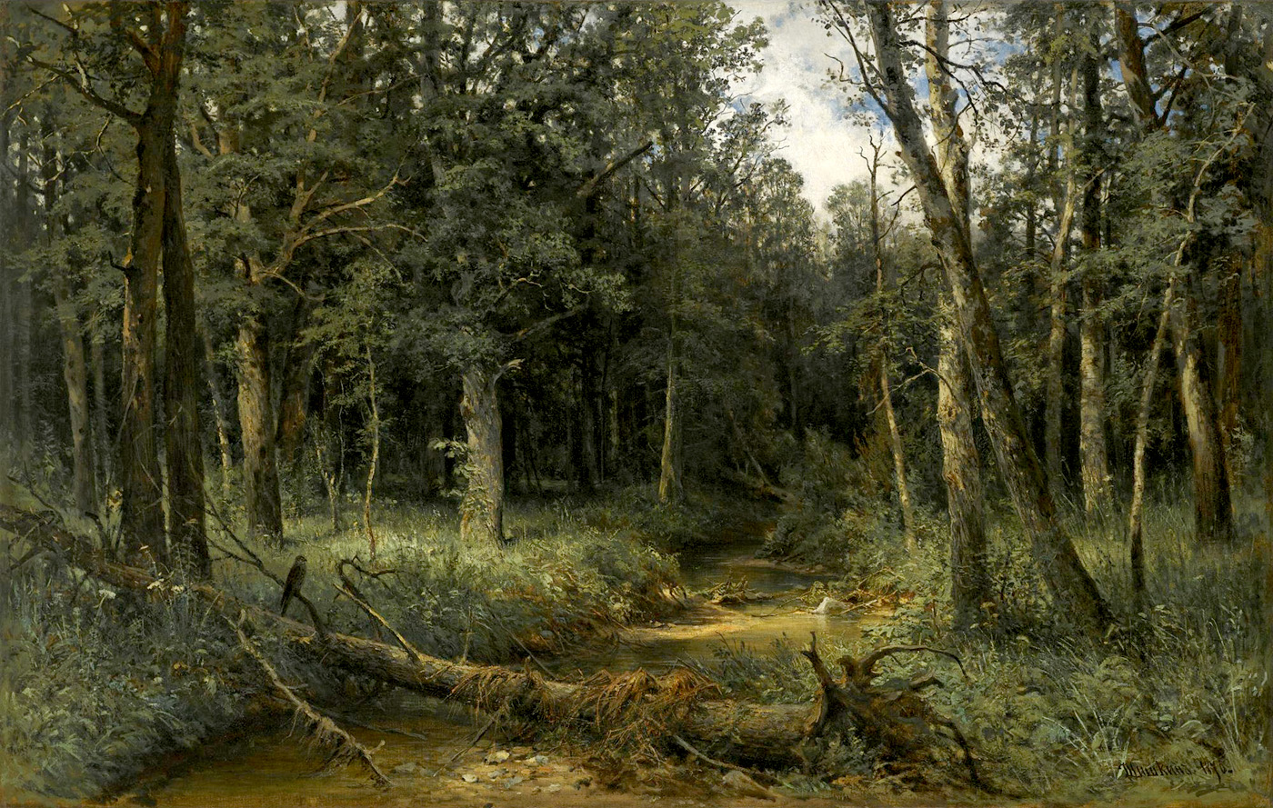 the dark wood